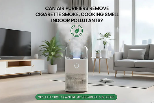 Can Air Purifiers Remove Smoke & Cooking Smell in Pakistan?