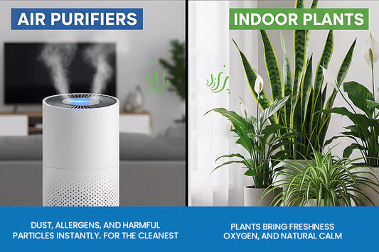 Air Purifiers vs Indoor Plants — What Actually Cleans the Air?