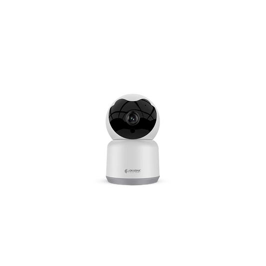 Smart Eyeball Security Camera 