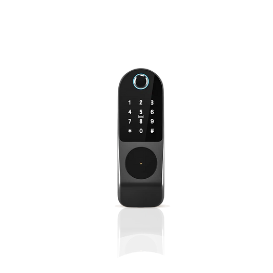 Main Gate Smart Lock