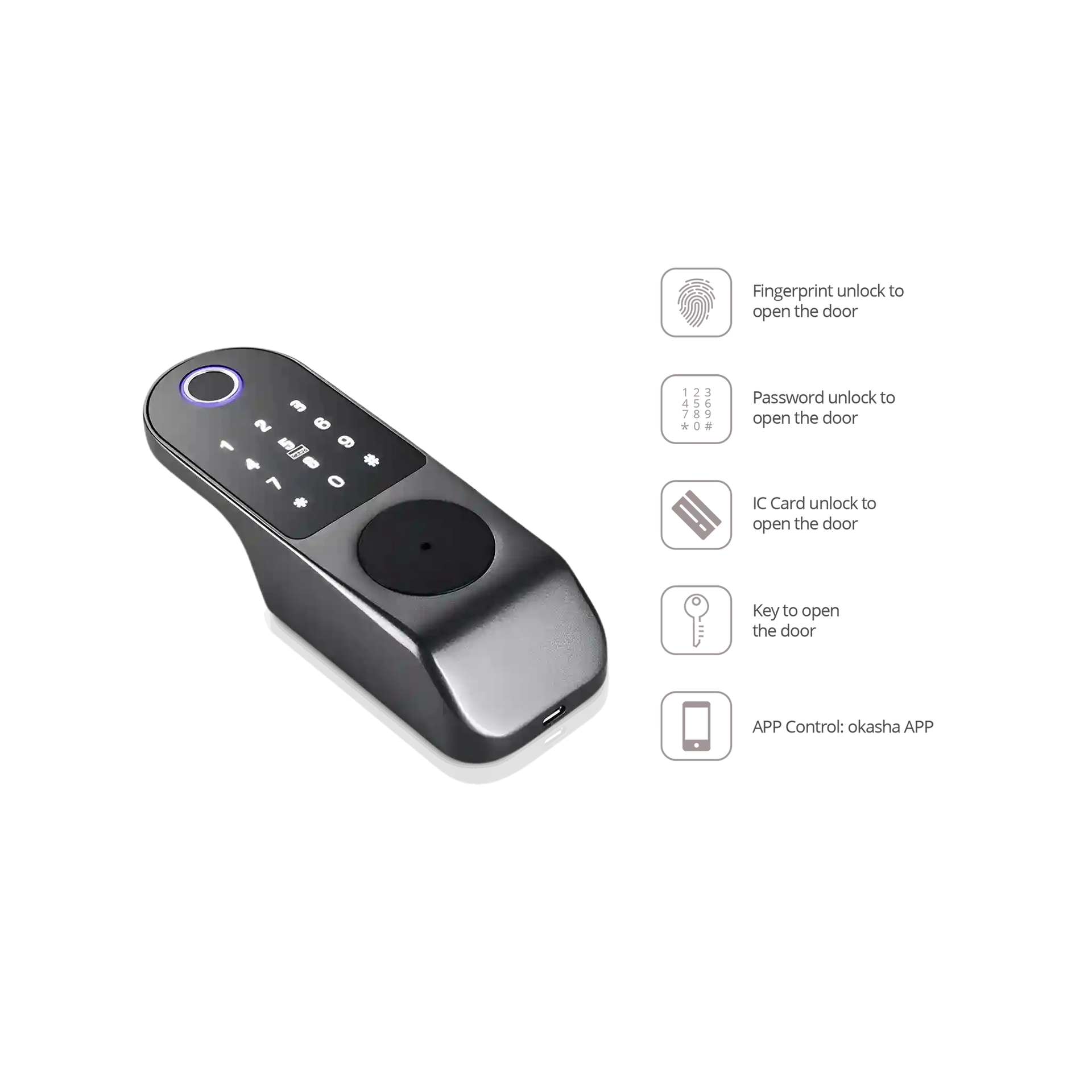 Main Gate Smart Lock (Waterproof) – Okasha Smart