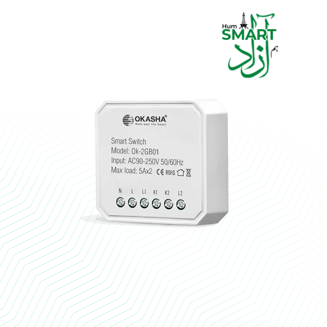 Smart In Wall Two Gang Switch