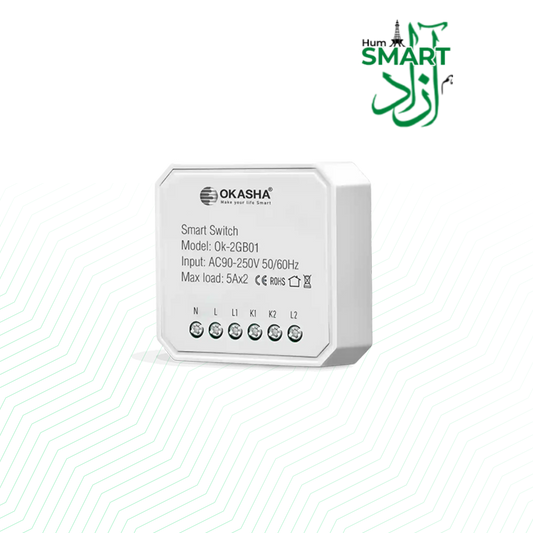 Smart In Wall Two Gang Switch