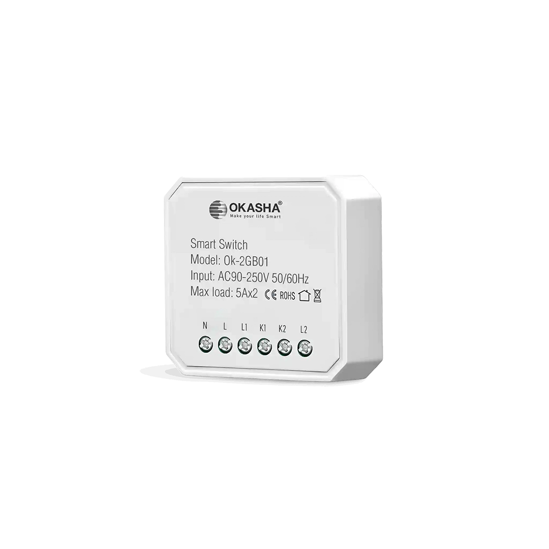 Smart In Wall Two Gang Switch