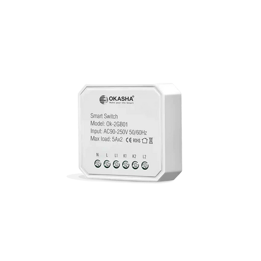 Smart In Wall Two Gang Switch