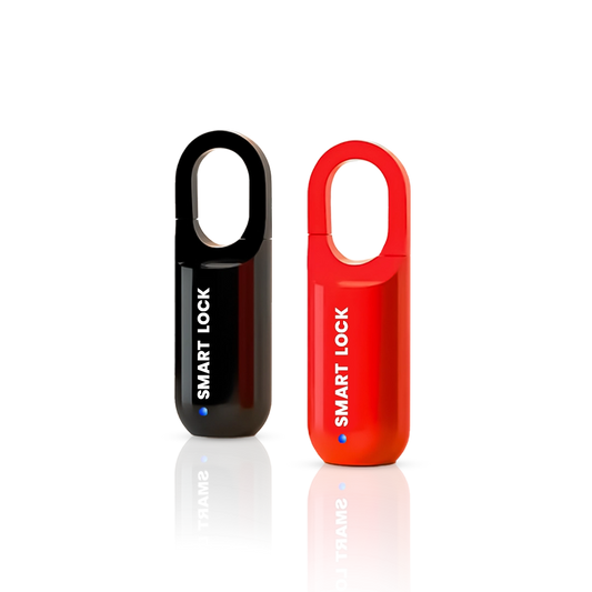 Travel Smart Padlock