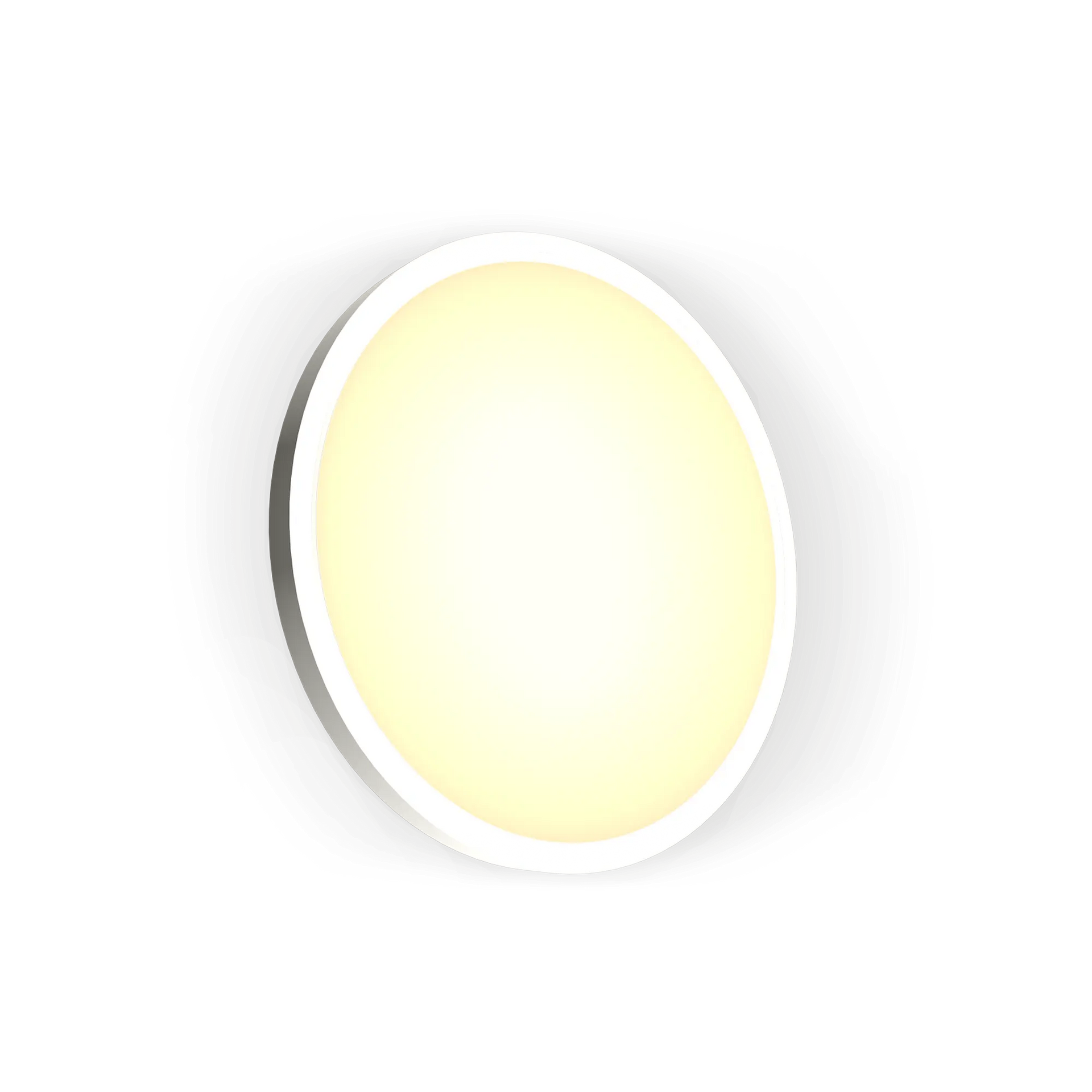 Ceiling Atmosphere Light 24W- (Wifi+Bluetooth)