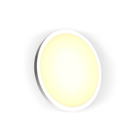 Ceiling Atmosphere Light 24W- (Wifi+Bluetooth)